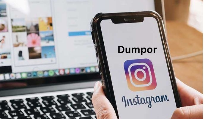 How Does Dumpor Work