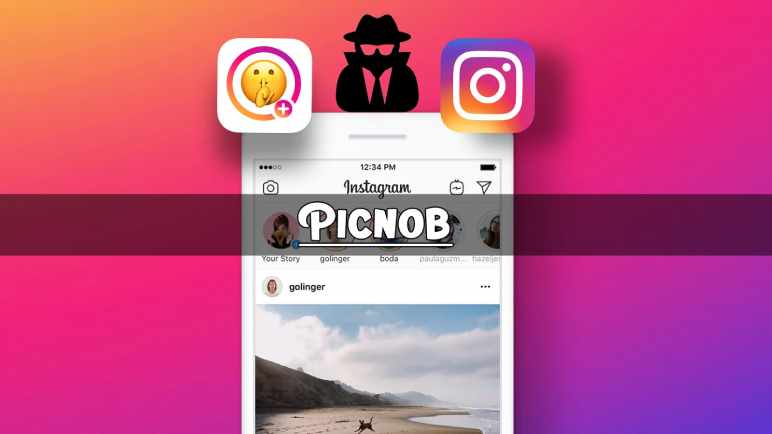 Unveiling Picnob: A Peek into its Key Features