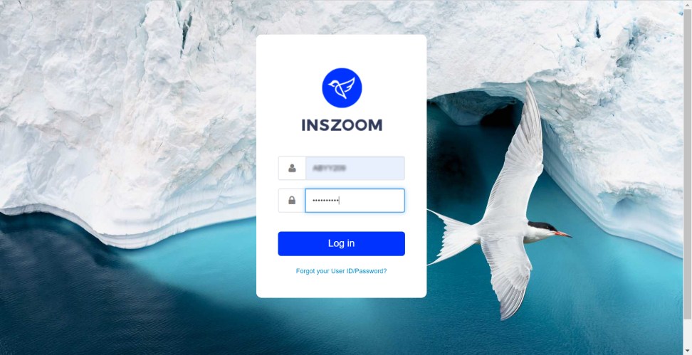 What Is INSZoom Login And How Does It Work?