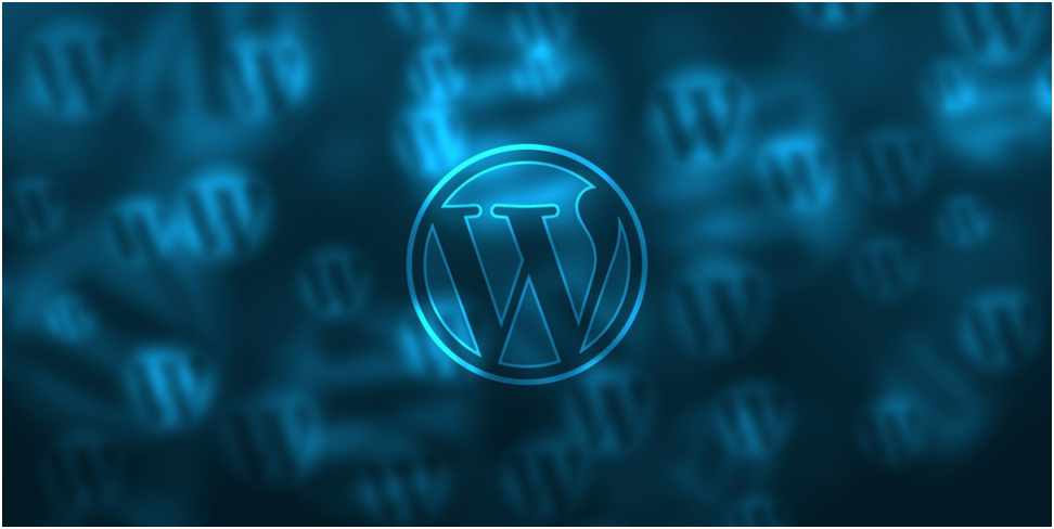 Reasons To Use WordPress